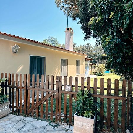 Casa Girassol With A Beautiful Private Pool And Garden Βίλα Σίντρα Εξωτερικό φωτογραφία