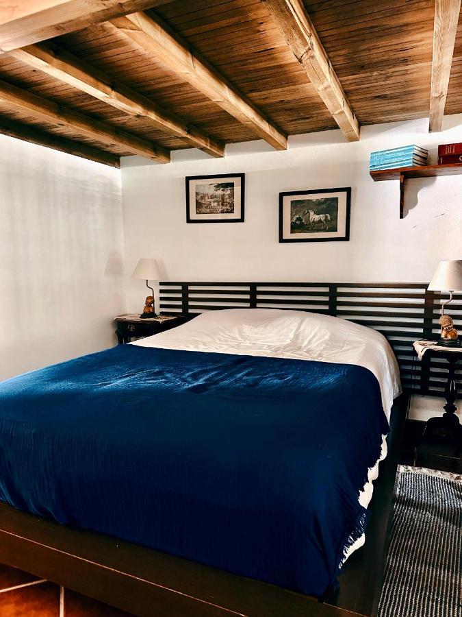 Casa Girassol With A Beautiful Private Pool And Garden Βίλα Σίντρα Εξωτερικό φωτογραφία